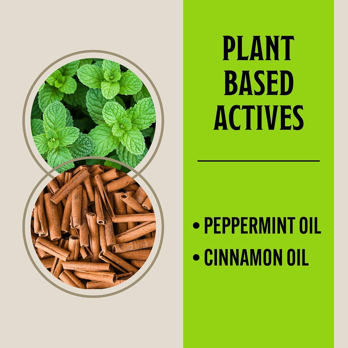16 fl oz Peppermint & Cinnamon Oil Rodent Repellent Spray I603232