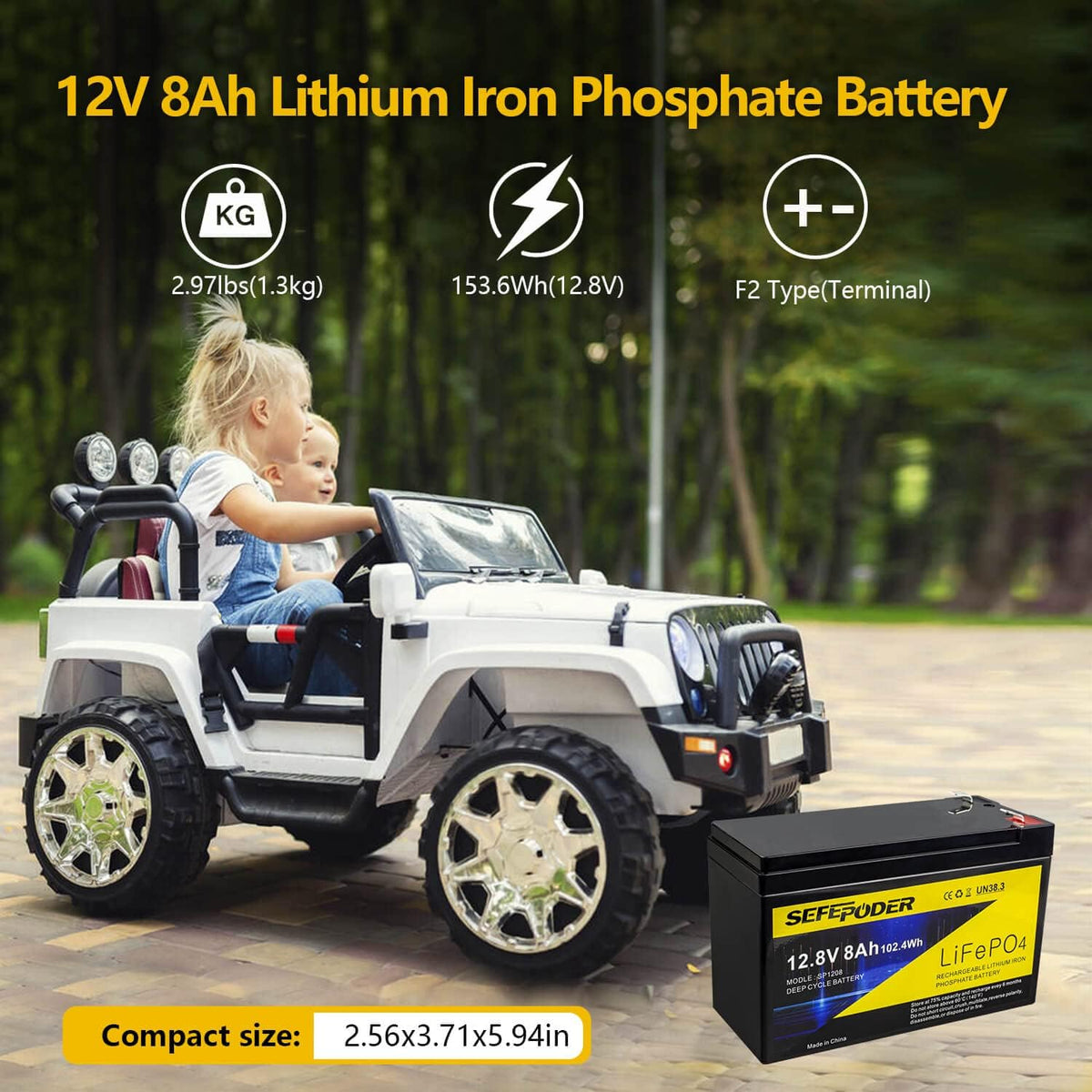 12V 8Ah Lifepo4 Lithium Ion Rechargeable Battery 2 Pack with Built-in 8A BMS E47175