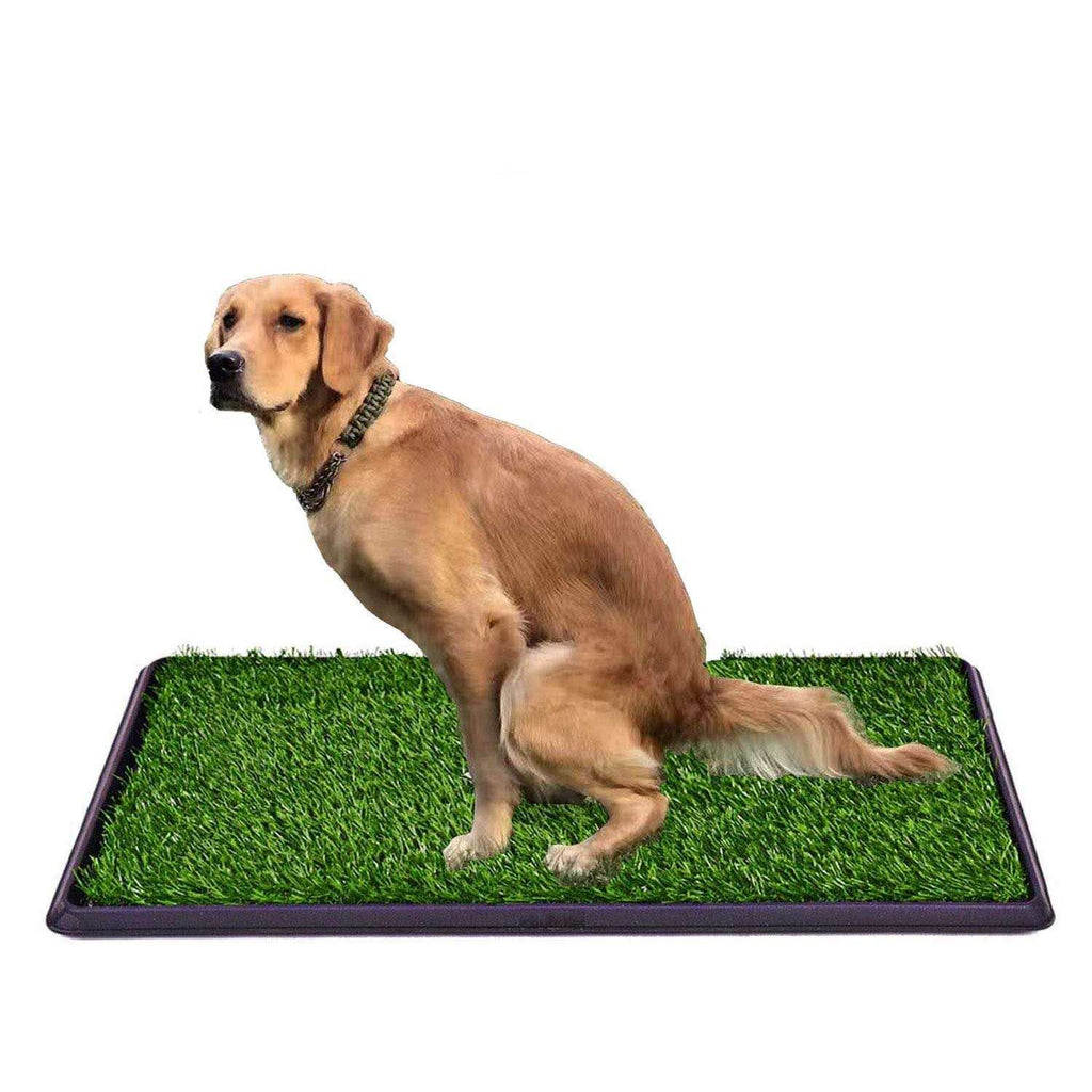 Fake Grass Dog Potty Pad with Tray O94439